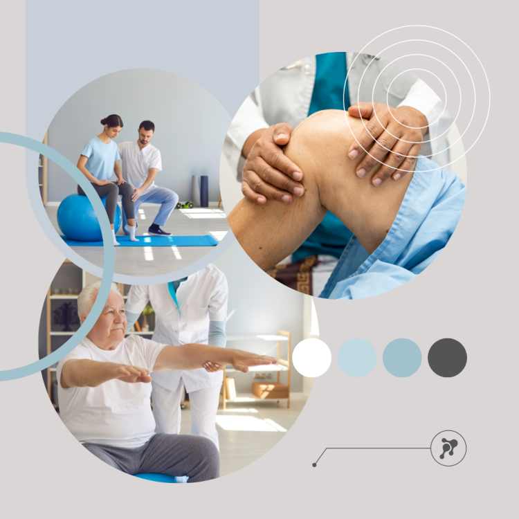 Фитокрем-бальзам (Крем для суставов, фитокрем) для суставов, локтей 250 мл. DctrGo  в Новом Уренгое